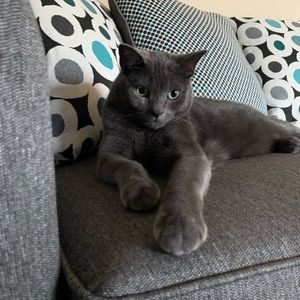 Meet your Posher, Hollie